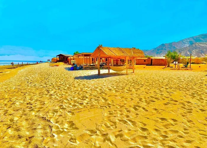 Sayal Camp