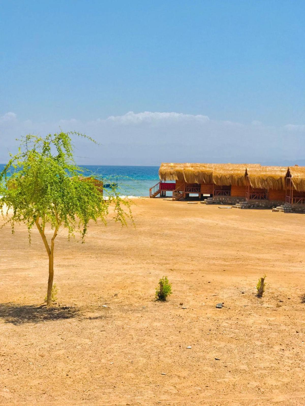 Luxury tent Sayal Camp Taba