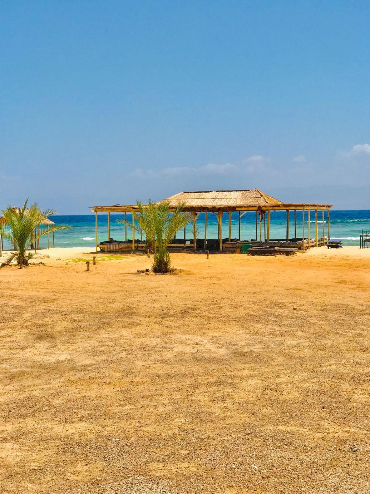 Sayal Camp Luxury tent Taba