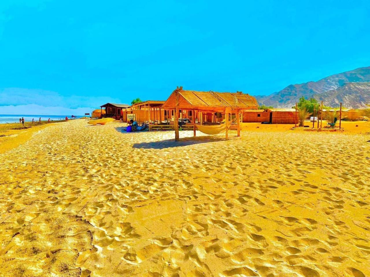 Sayal Camp *