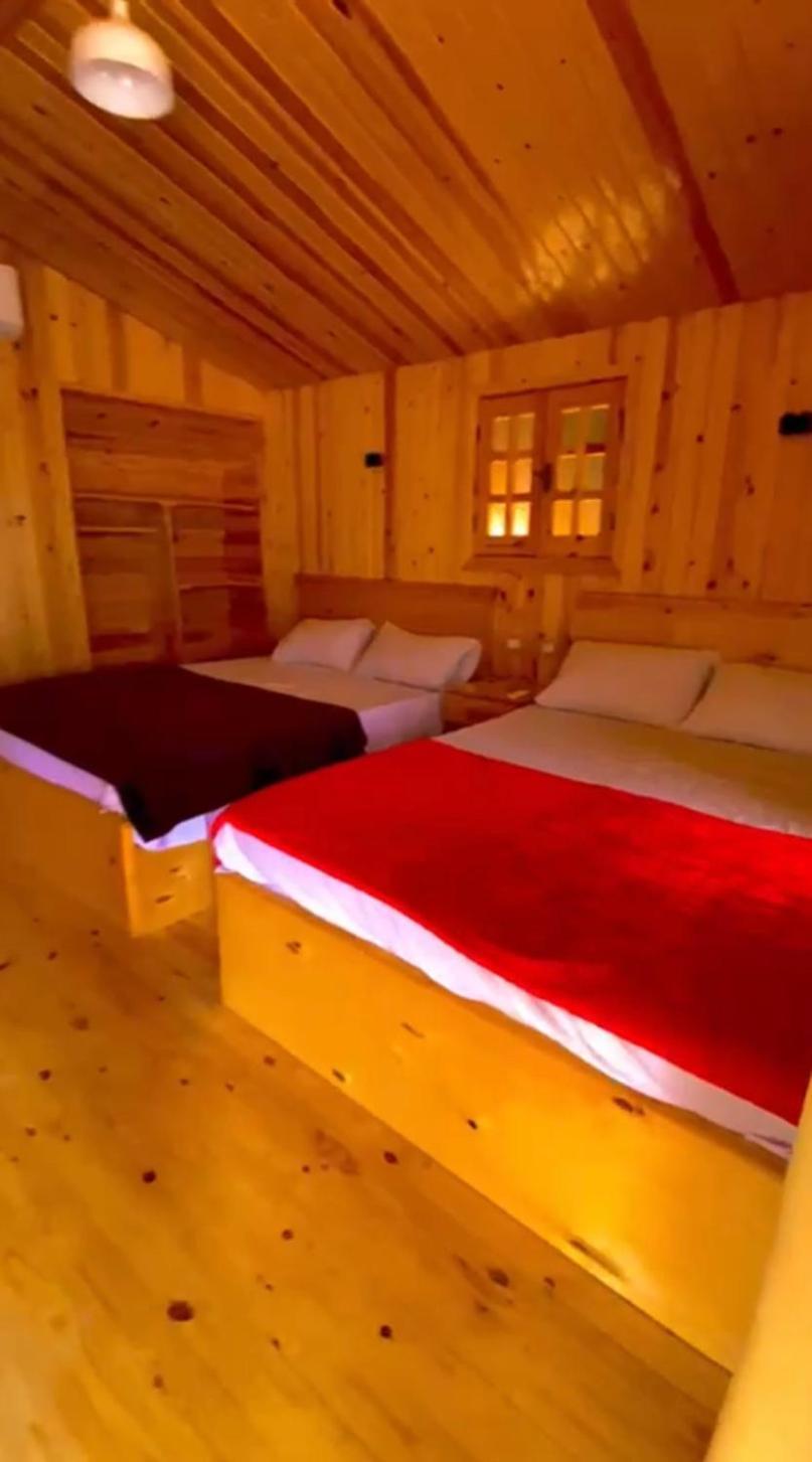 Sayal Camp Luxury tent