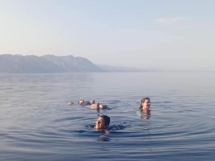 Sayal Camp * Taba