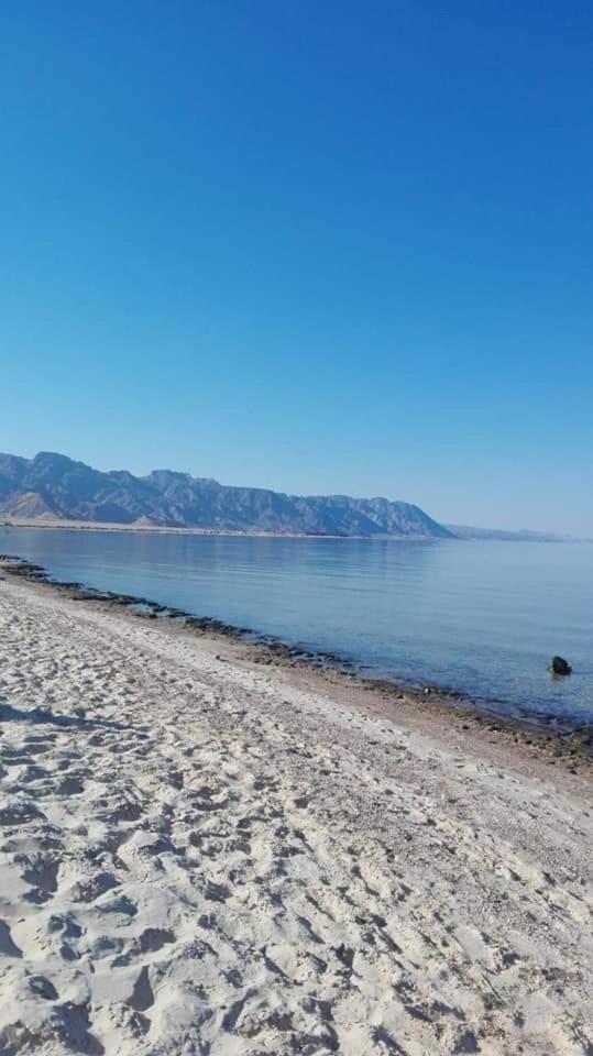 Sayal Camp